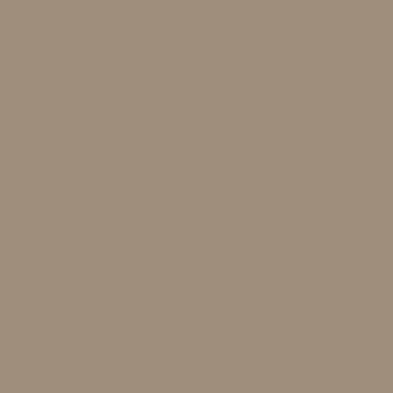 Mesa Verde Tan